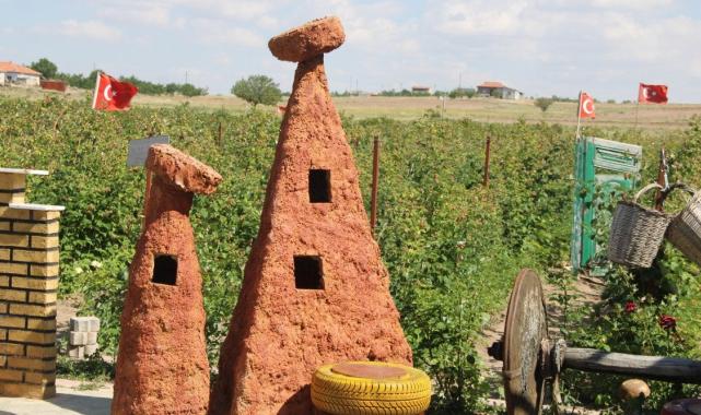 Kayseri'de tek: 'Olmaz' denileni yaptı, ahududu bahçesini kurdu