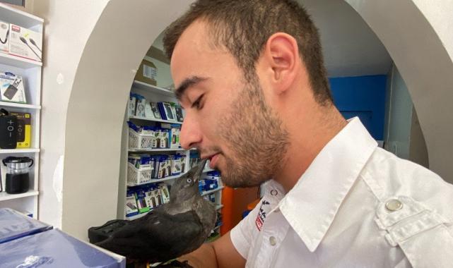 Kocaeli'de kediden kurtardıkları karga, dostları oldu