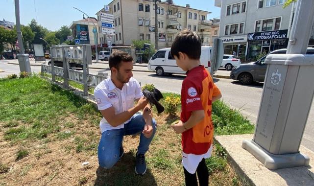 Kocaeli'de kediden kurtardıkları karga, dostları oldu