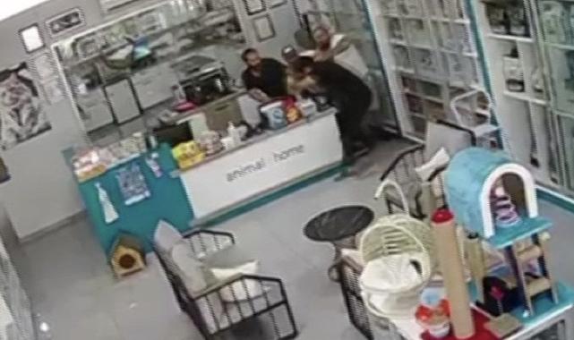 Kocaeli'de mama parası yüzünden veteriner hekime kabusu yaşattılar