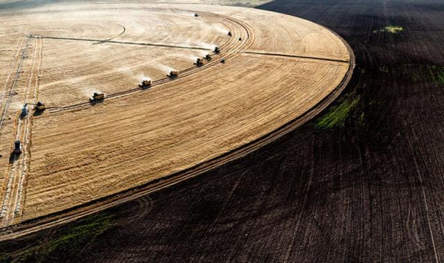Konya'nın devasa dairesel tarlalarında hasat tamamlandı