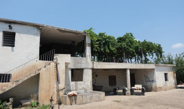 Köpeklerin saldırdığı çocuk taburcu oldu