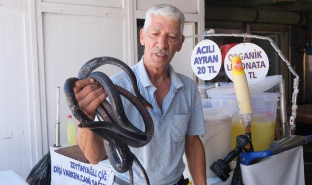 Koynunda beslediği yılanlar ısırdı