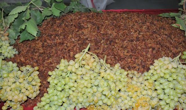 Kuru meyve ihracatında miktar düştü, döviz getirisi yükseldi