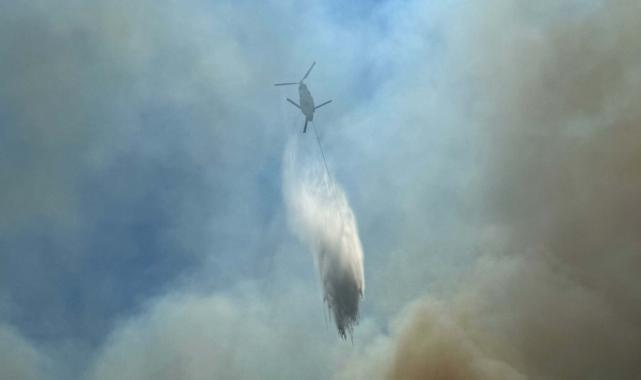 Manisa'da orman yangını çıktı
