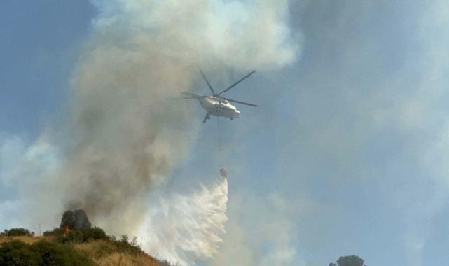 Manisa'da orman yangını çıktı