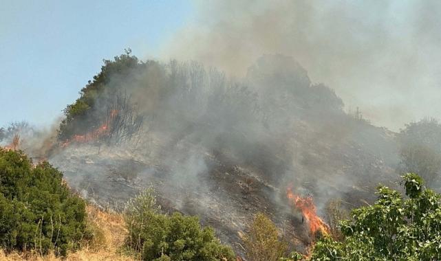 Manisa'da orman yangını çıktı