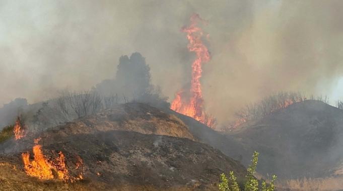 Manisa&#039;da orman yangını çıktı