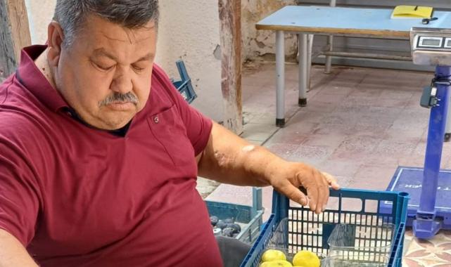 Mersin’de beyaz incir hasadı başladı: Kilosu 100 lira