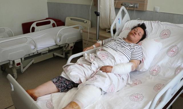 Niğde'de bir kadın iki köpeğin saldırısına uğradı