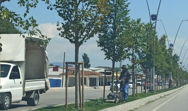 Nilüfer Belediyesi çevre düzenlemelerini sürdürüyor