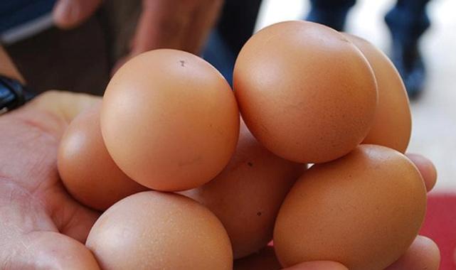 Rusya, Türkiye'den 38,2 milyon adet yumurta ithal etti