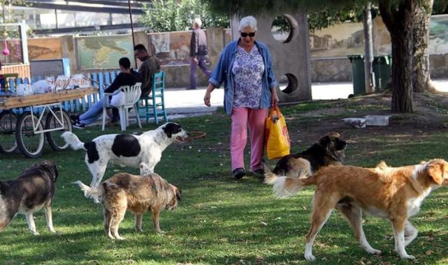 Sahipsiz hayvanlara yönelik kanun teklifinin ilk 5 maddesi kabul edildi