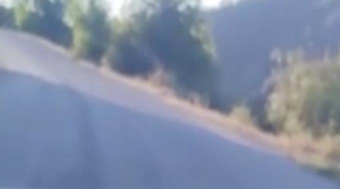 Sinop'ta sürücü canlı yayın yaparken aracıyla uçuruma düştü