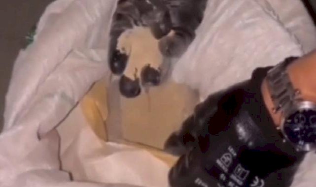 16 ilde "Narkoçelik" operasyonu: 40 zehir taciri tutuklandı