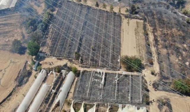 Antalya'daki yangın 5 saatlik çalışma sonucu kontrol altına alındı