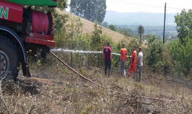 Bilecik’te arazi yangını! 1 kişi dumandan etkilendi