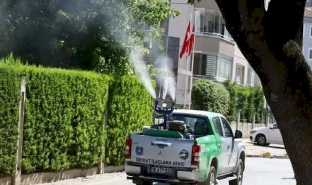 Bursa’da yetersiz ilaçlama, sinek istilasına kapı aralıyor
