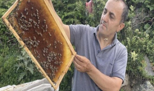 Dünyaca ünlü Anzer Balı'nın kilogram satış fiyatı 4 bin TL oldu