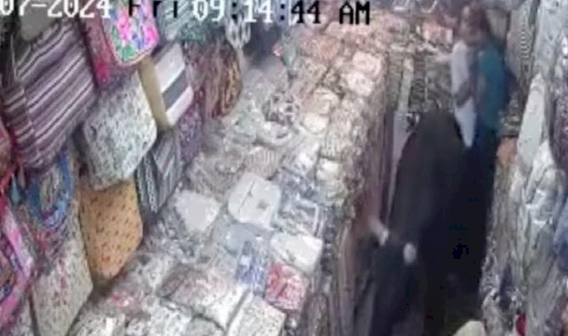 Hindistan'da yabani boğalar çantacı dükkanına daldı