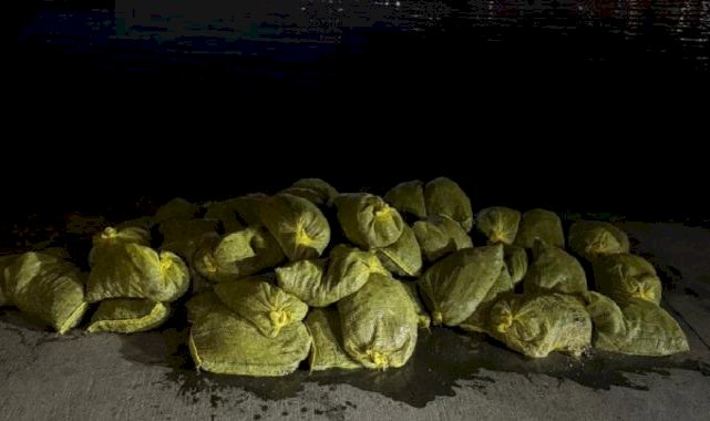 İstanbul Beyoğlu'nda 1,5 ton kaçak midye ele geçirildi