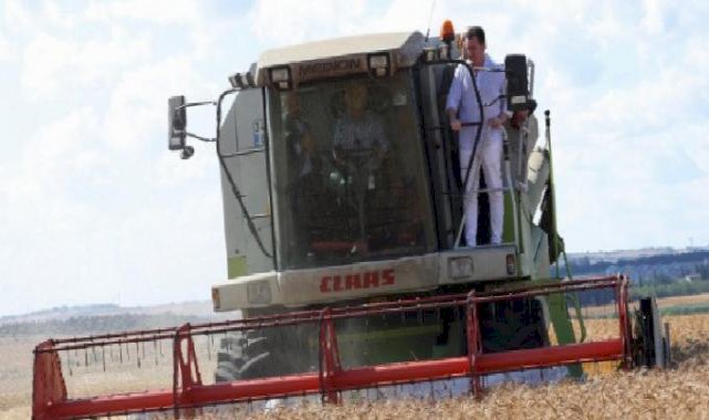 İstanbul'da deneme tohumlarında ilk hasat