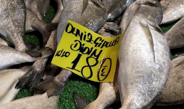 İzmir'de balık var, alan yok