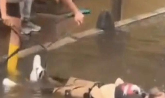 İzmir'de elektrik kaçağı soruşturması: İZSU genel müdürüne gözaltı