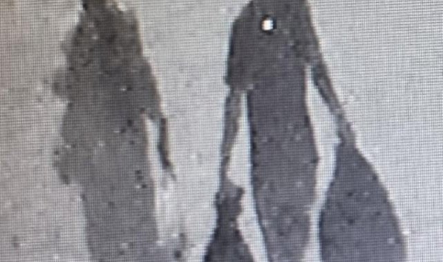 Kırşehir'de katiller cesedi hurdacıya taşıttı