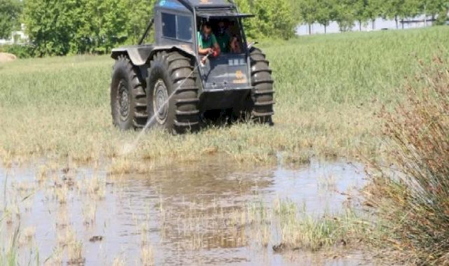 Kocaeli'de vektörle mücadelede yaz mesaisi