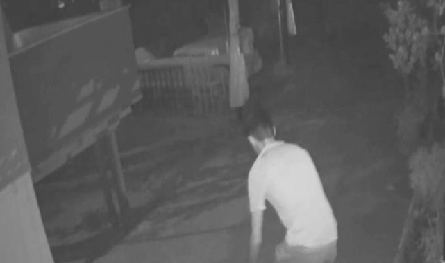 Konya'da evin bahçesinden yavru kedi çaldı