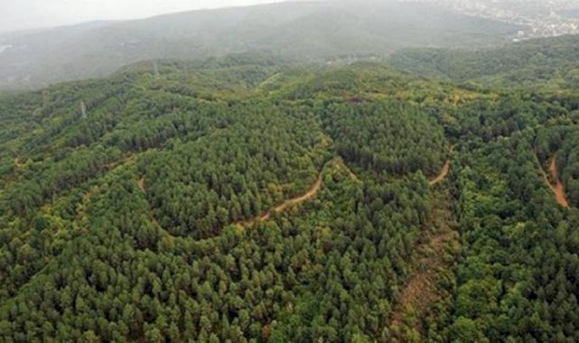 Ormanlar, yangın tehdidine karşı 14  ve 368 kamerayla izleniyor