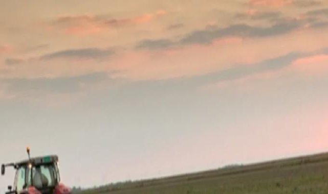 Planlı üretime kapsamlı destekleme