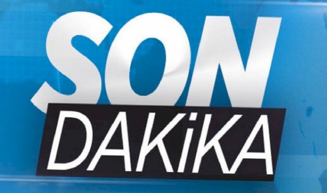 Sahipsiz sokak hayvanları yasasından 'ötanazi' kelimesi çıkarılıyor