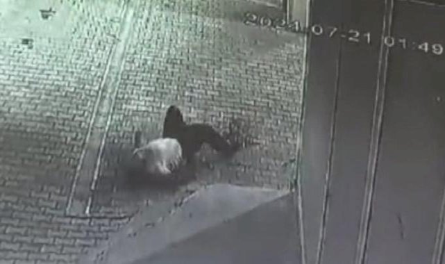 Şanlıurfa'da kuzenini öldürdüğü kanlı bıçakla video çeken katil yakalandı