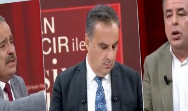 Sokak köpekleri düzenlemesi TBMM'de kabul edildi: Canlı yayında sahiplenme tartışması