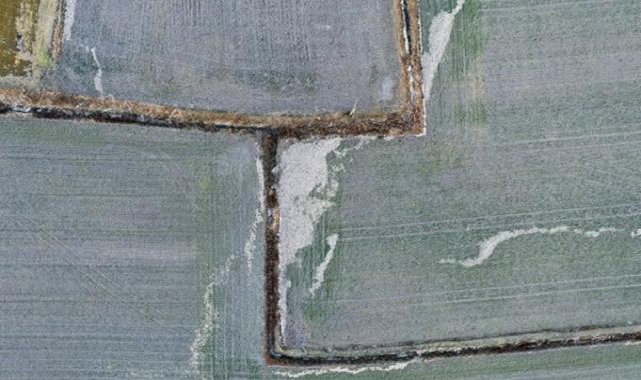 Tarım sigortalarında 'don' hasarı öne çıktı