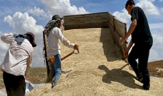 TMO 2,5 milyon ton ürünü stoklarına aldı