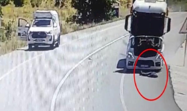 Tunceli'de yaralı serçeyi kurtaran vatandaşa kamyon çarptı