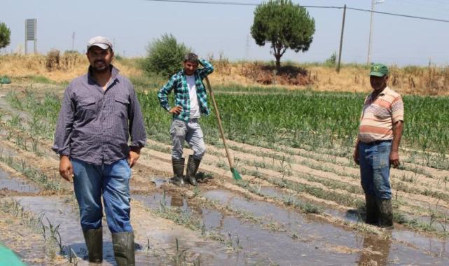 Tarımda çalıştıracak işçi sıkıntısı yaşanıyor: Yevmiyeyi 2 bin TL vermeye razıyız