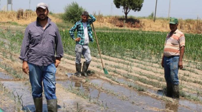 Tarımda çalıştıracak işçi sıkıntısı yaşanıyor: Yevmiyeyi 2 bin TL vermeye razıyız