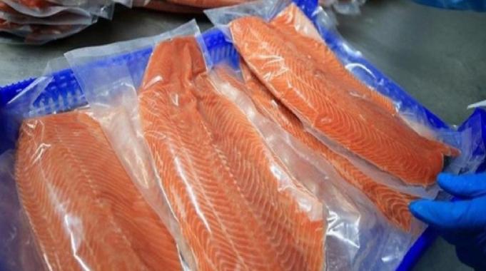 Türk somonu ihracatı değer ve miktar olarak arttı