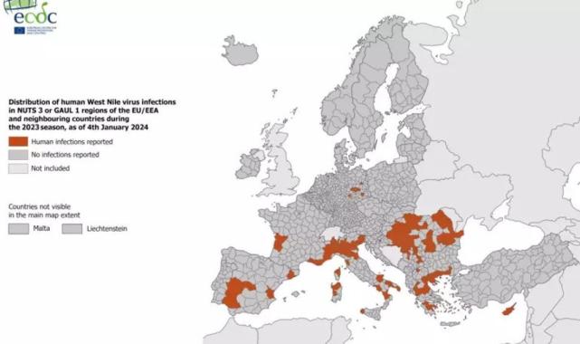Türkiye'de ölümcül virüs uyarısı: Acil önlemler alınmalı