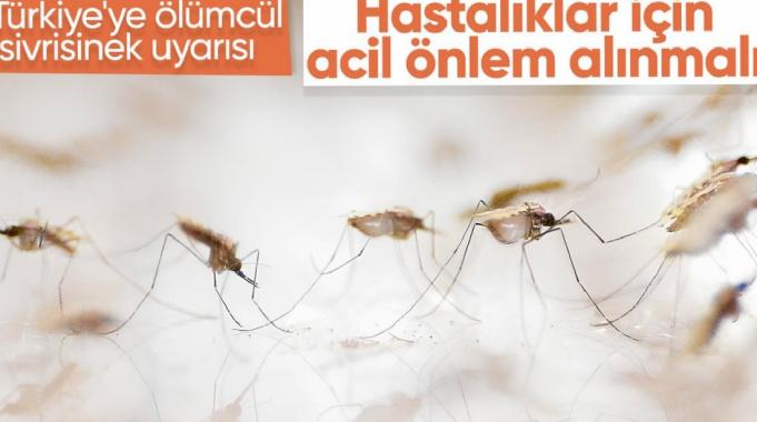 Türkiye&#039;de ölümcül virüs uyarısı: Acil önlemler alınmalı