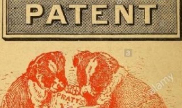 Ümit Yenişehirli yazdı: Köpekler için her yıl 7 milyar hayvan öldürülüyor
