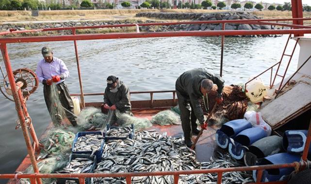 Van Gölü'nde balıkçılar inci kefali avına başladı