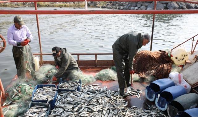 Van Gölü'nde balıkçılar inci kefali avına başladı