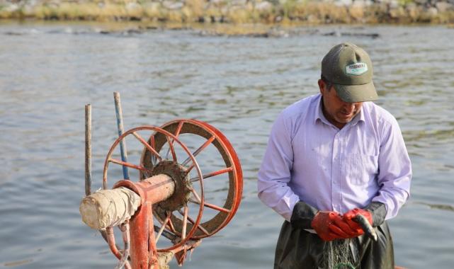 Van Gölü'nde balıkçılar inci kefali avına başladı
