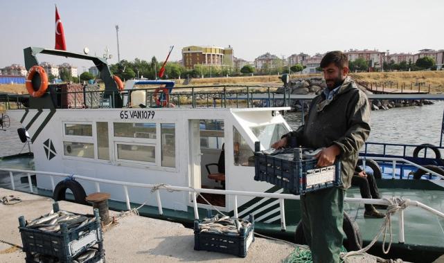Van Gölü'nde balıkçılar inci kefali avına başladı