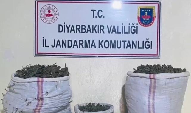 18 ilde Narkoçelik operasyonu: 1 tondan fazla uyuşturucu ele geçirildi